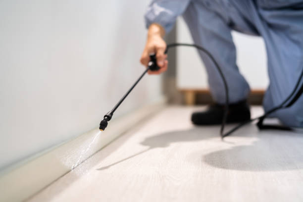 Licensed Pest Control service in Oak Creek, WI - Show Me Pest Control