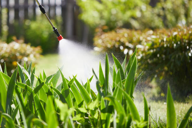 Tamper-Resistant Bait Stations for Rodents in Oak Creek