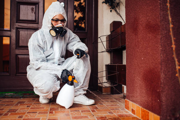Attic and Crawl Space Rodent Treatment in Oak Creek