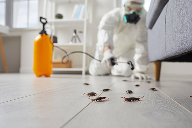 Commercial Rodent Management in Oak Creek